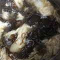 たぁこヨネ's cooksnap of when they made ほっこり♡かきたまもずくスープ.