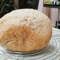 mint's cooksnap of when they made HB任せ♪簡単おからパウダーカンパーニュ.