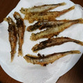 もぐみみ's cooksnap of when they made サクっと♡ししゃもの磯部揚げ♡超簡単♪.