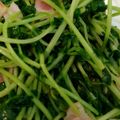 バタバタ走るバタコ's cooksnap of when they made 【簡単】豆苗とベーコン炒め.
