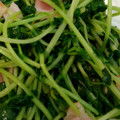 バタバタ走るバタコ's cooksnap of when they made 【簡単】豆苗とベーコン炒め.