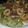 hawaiisunny's cooksnap of when they made フライドオクラ.