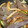 クックBKOS81☆'s cooksnap of when they made 割下で簡単♪こんにゃくと長てんのきんぴら.