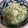 クックSK0OTX☆'s cooksnap of when they made 簡単♪オクラの胡麻からしマヨ和え.