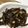 クックCHLBAR☆'s cooksnap of when they made キノコのバター醤油炒め.