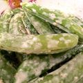 ぴかさら's cooksnap of when they made スナップエンドウの胡麻レモンサラダ♪.