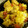 由芽15's cooksnap of when they made 簡単！トマトＤEさわやか風味の親子丼♪.