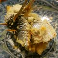 のりてぃｓｘ's cooksnap of when they made いわしの和風マヨパン粉焼き.