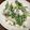 イヌチン's cooksnap of when they made 材料3つで!!簡単豆腐と水菜の絶品サラダ.