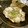 ☆Rokko☆'s cooksnap of when they made イカとあぶりうす揚げのとろろあえ♪.