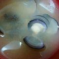 ふぉーぴろ's cooksnap of when they made しじみの味噌汁.