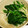 クック14R3V8☆'s cooksnap of when they made 即席☆ほうれん草ともやしのごま和え.