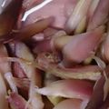 クックKPISXJ☆'s cooksnap of when they made みょうがの即席ピクルス.