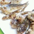 みっくママ's cooksnap of when they made 豆鯵の唐揚げ.
