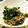 ティナたま's cooksnap of when they made 簡単！モロヘイヤのおひたし☆.