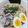 ナチュキチ♪'s cooksnap of when they made 混ぜるだけ超簡単☆冷やし醤油そうめん.