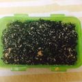 りるみな's cooksnap of when they made THE　常備菜☆ワカメの明太煮.