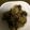 クックW3F360☆'s cooksnap of when they made なすと豚コマのピリ辛炒め.