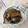 Amalka's cooksnap of when they made 簡単！きゅうりのキューちゃん漬け.