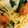 クックOKYJJX☆'s cooksnap of when they made １歳から幼児のꉂ簡単！きのこ和風パスタ♡.