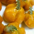 那月。's cooksnap of when they made ほくほく♪スイートパンプキン.