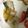 クック3CA74U☆'s cooksnap of when they made 鱈ムニエルのまるごとレモンソースがけ.