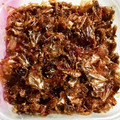 きーきりん's cooksnap of when they made かつお節のつくだ煮.