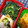 nosso's cooksnap of when they made 簡単☆ゴーヤのゆかり和え.