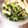 ＹＫＮ４．３'s cooksnap of when they made 簡単5分☆小松菜としらすのごま油炒め.