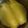 すずぱく's cooksnap of when they made とうもろこしの茹で方.