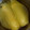 すずぱく's cooksnap of when they made とうもろこしの茹で方.