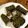 さとゆうひろ's cooksnap of when they made ゴーヤの挽肉詰め入りスープ＠カンボジア.