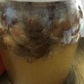 kuri7749's cooksnap of when they made 失敗知らず♪レーズン酵母（液）.