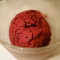 ＊tdake＊'s cooksnap of when they made ブルーベリーヨーグルトアイスクリーム♪.
