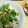 もぐドン's cooksnap of when they made しらすと香味野菜たっぷりのっけサラダ素麺.