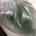 ★ぺっこ★'s cooksnap of when they made 失敗なし！「小ネギ」保存法.
