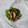 イチゴ、イチゴ。's cooksnap of when they made タコと胡瓜のとろろ昆布和え♪.