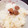 ラムセス３世's cooksnap of when they made 梅仕事最後の、梅の種の炊き込みご飯。.