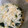 七色ばいきんまん's cooksnap of when they made お鍋一つで簡単にゅうめん.