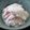 綾那mama's cooksnap of when they made 卵アレルギーっ子に★豆乳アイス☆.