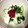 クックXCGMQQ☆'s cooksnap of when they made 山芋ときゅうりの梅和え.