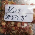 ★サンセット★'s cooksnap of when they made ミョウガの冷凍保存.