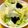 Nya6nya6's cooksnap of when they made レタスと海苔だけで美味しいサラダ.