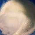 ☆ジグロ☆'s cooksnap of when they made 甘酒レモンラッシー.