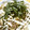ti☆a's cooksnap of when they made コストコ行ったら！プルコギ丼.