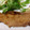 ゆっきん♪'s cooksnap of when they made 我が家のしょうが焼き＊ハチミツのコク♪.