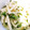 クックSED9DM☆'s cooksnap of when they made 長芋とカイワレの簡単酢味噌和え.
