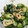 minao2318's cooksnap of when they made きゅうりとちくわとしらすの和えもの.