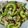 まつねぇ７２１６'s cooksnap of when they made 豚バラゴーヤ夏野菜のオイスターソース炒め.