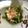 ふ～こ♪'s cooksnap of when they made 簡単☆美味しいピーマン♡.